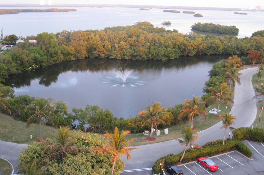 Photo of Others in Fort Myers Beach