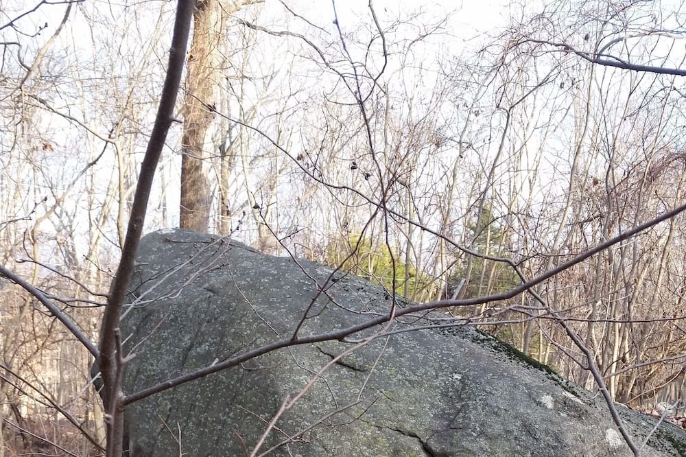 Photo of Outdoor in Quakertown