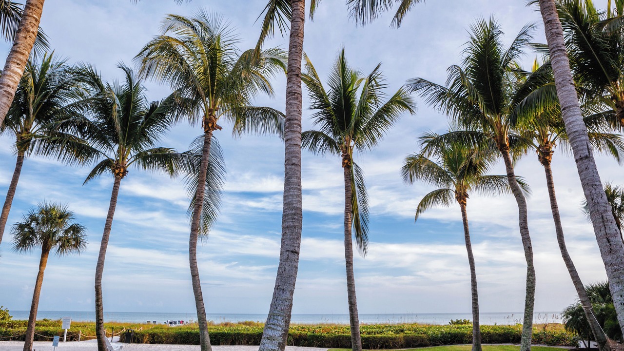 Photo of Outdoor in Sanibel