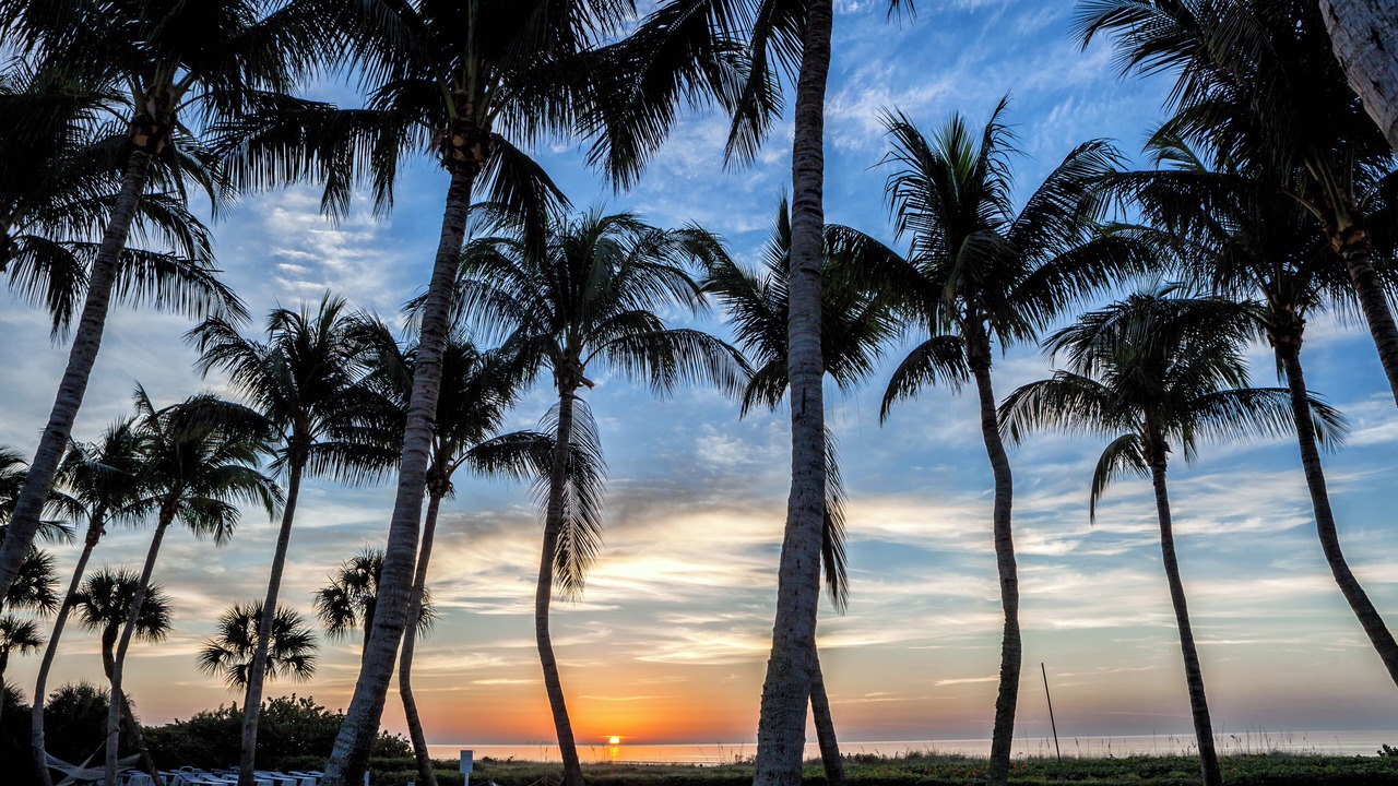 Photo of Outdoor in Sanibel