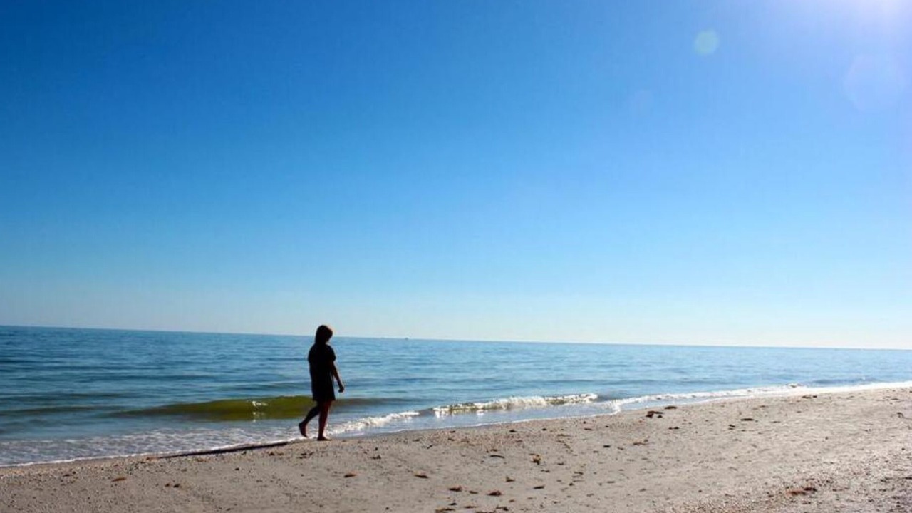 Photo of Others in Sanibel