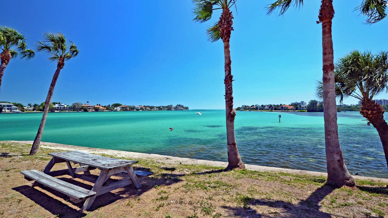 Photo of Others in Siesta Key