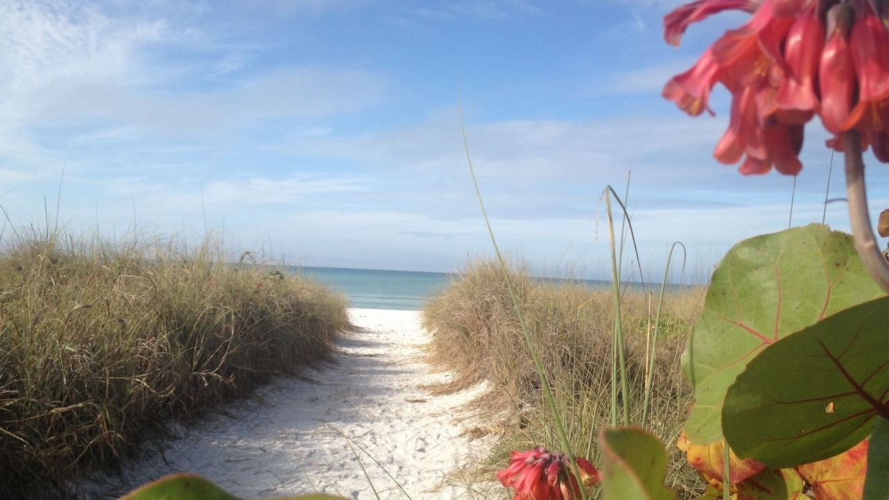 Photo of Others in Siesta Key