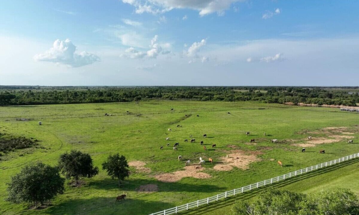 Photo of Others in River Ranch