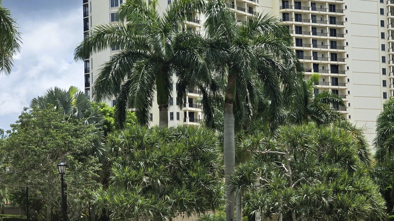 Photo of Outdoor in Hammock Bay
