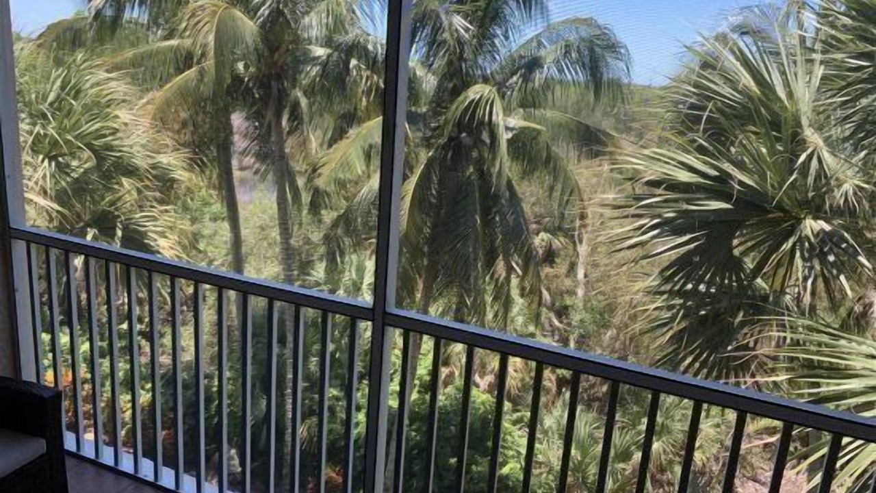 Photo of Outdoor in Tropical Cove