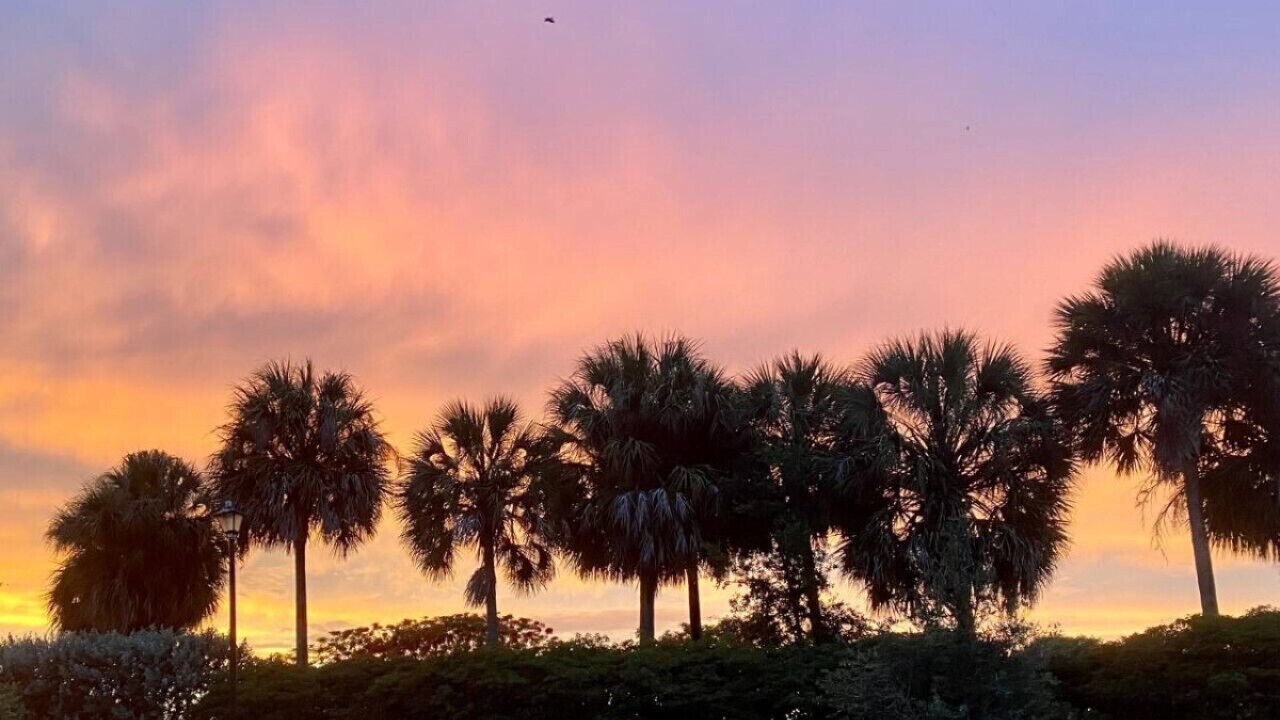 Photo of Outdoor in Parkland