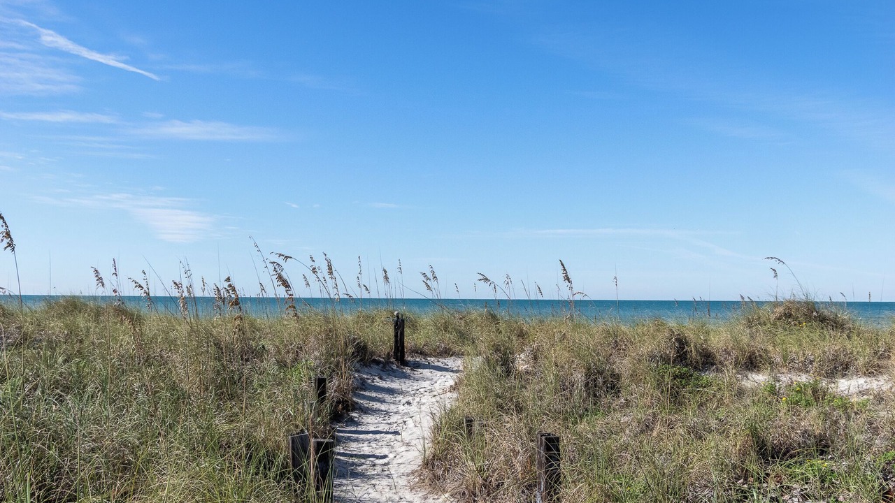 Photo of Others in St. Pete Beach