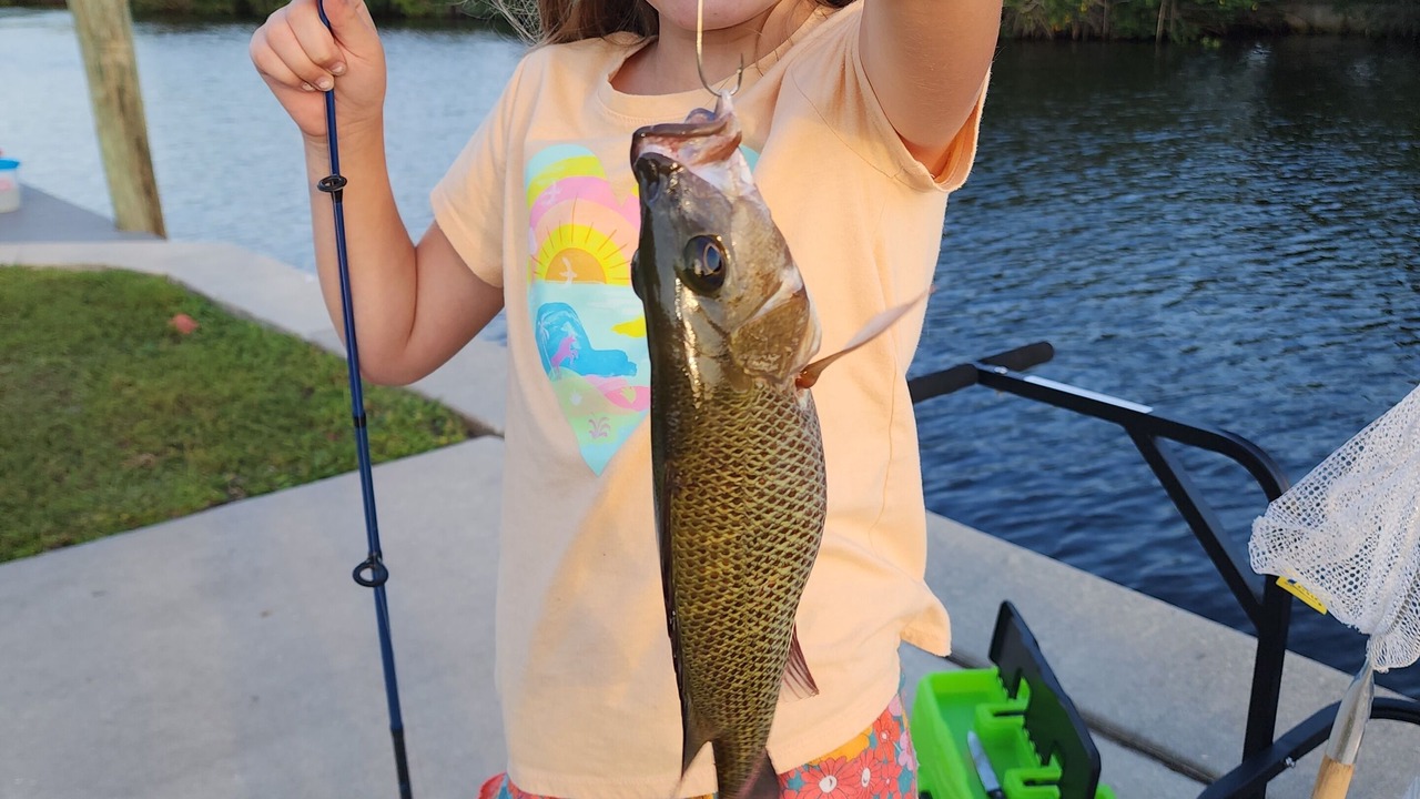 Photo of Others in Lochmoor Waterway Estates