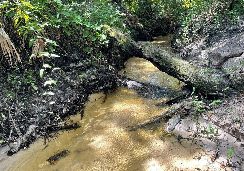 Photo of Outdoor in Riverview