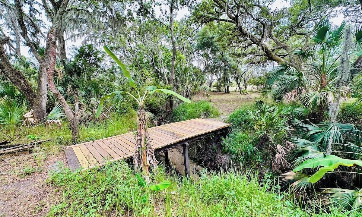 Photo of Outdoor in Riverview