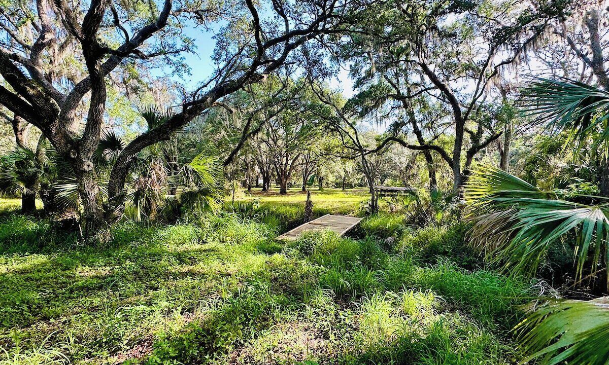 Photo of Outdoor in Riverview