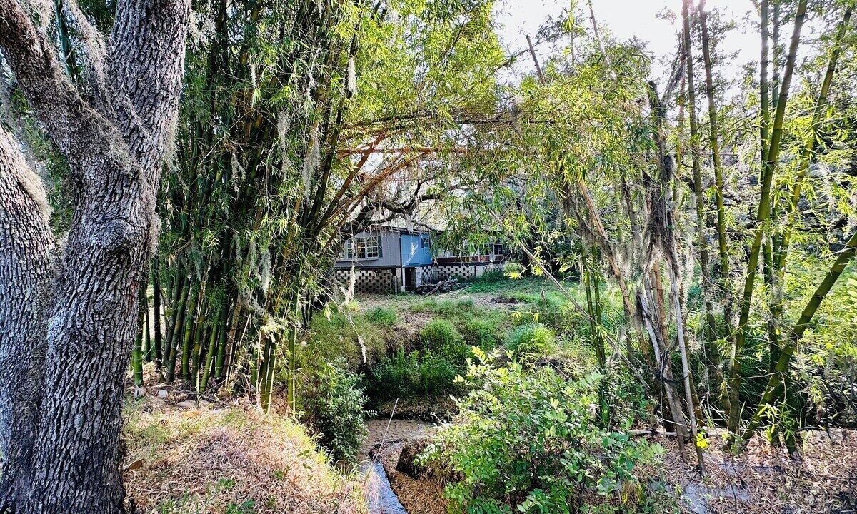 Photo of Outdoor in Riverview