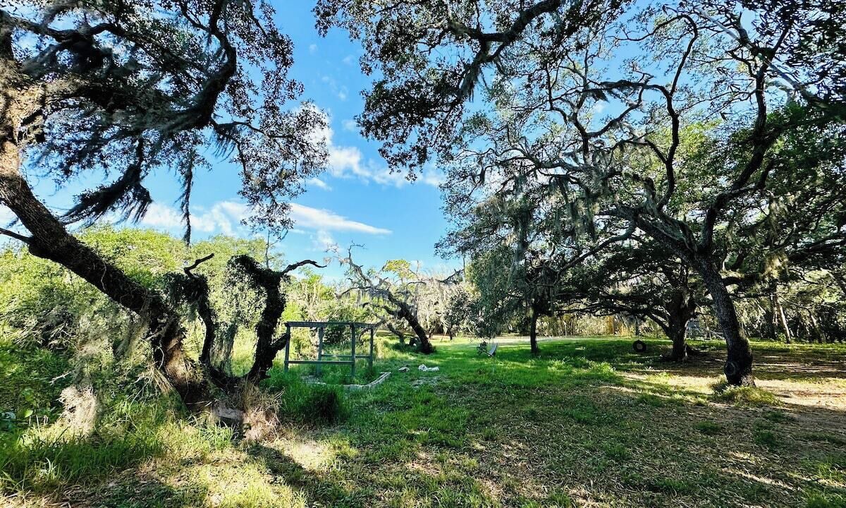 Photo of Outdoor in Riverview