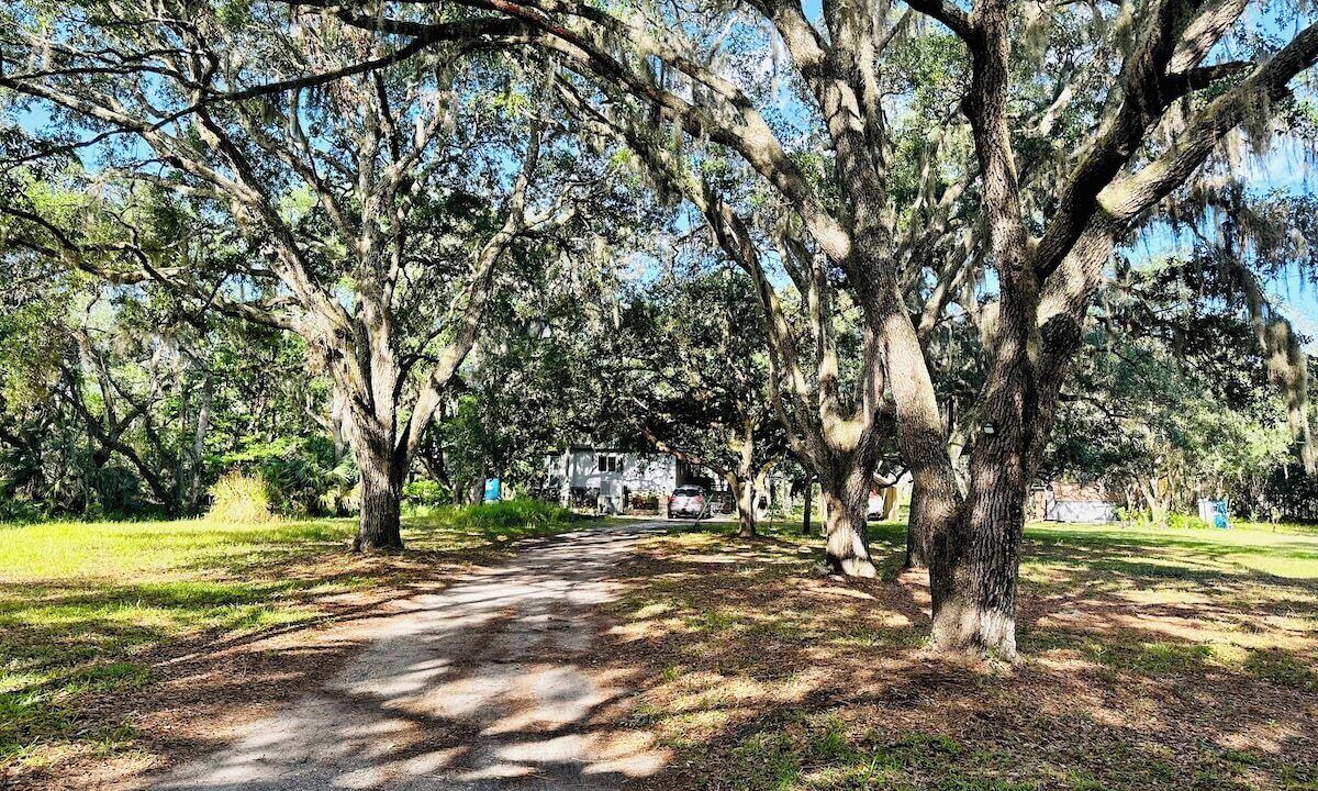 Photo of Outdoor in Riverview