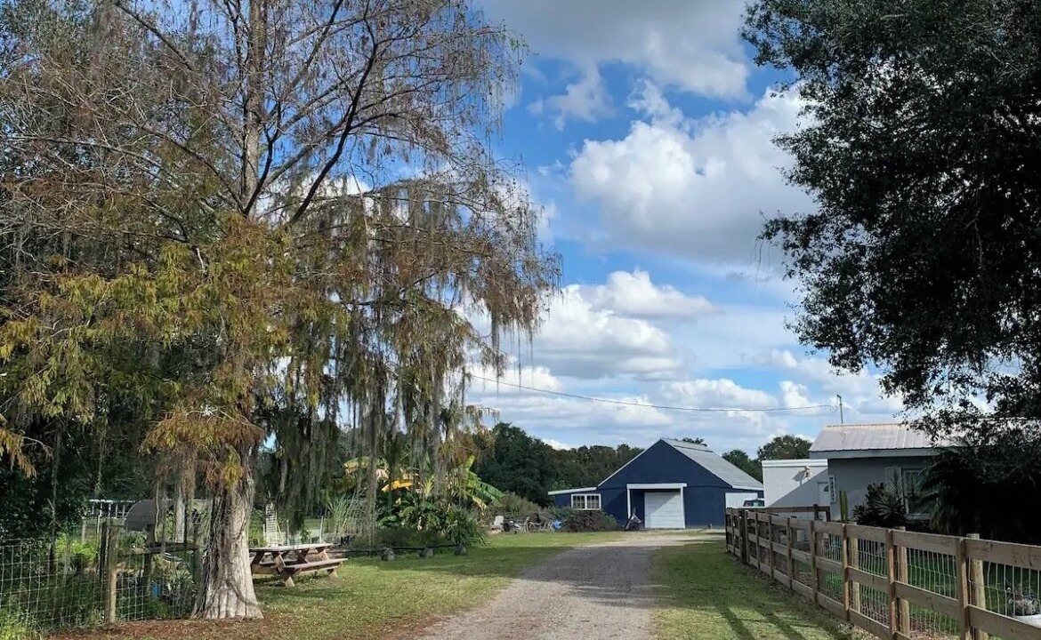 Photo of Outdoor in Arcadia