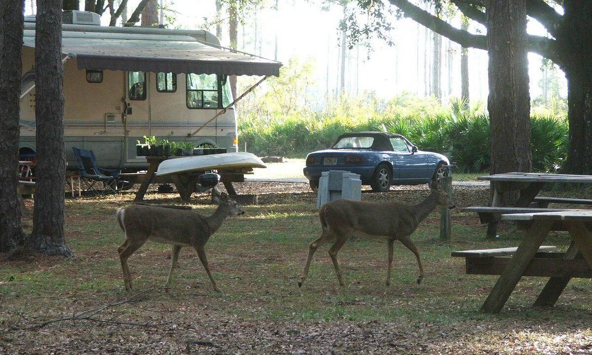 Photo of Outdoor in Sebring