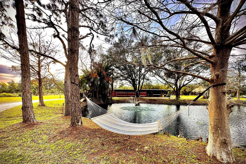 Photo of Outdoor in Braden River