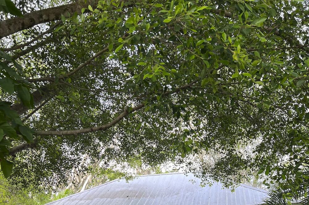 Photo of Outdoor in Bonita Springs