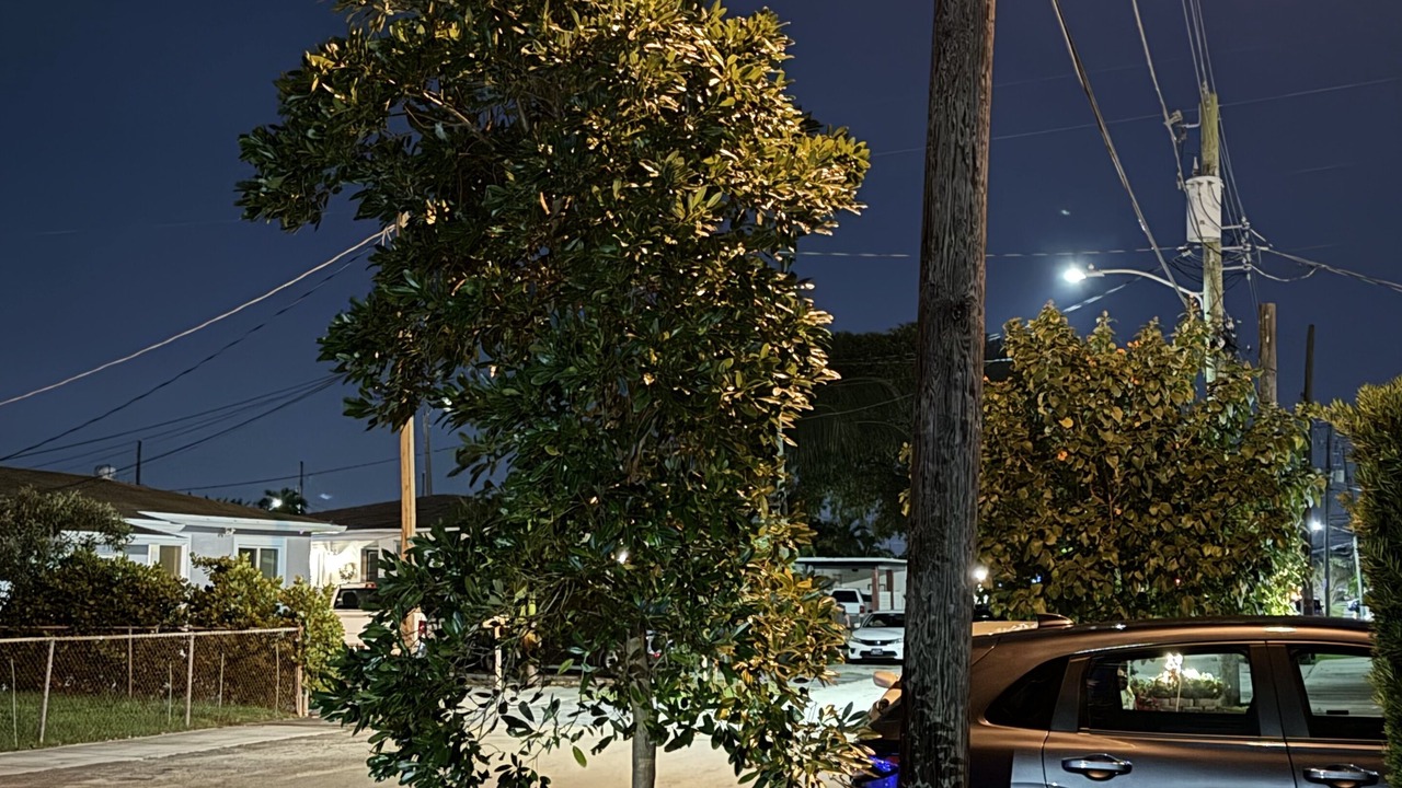 Photo of Outdoor in Flagami