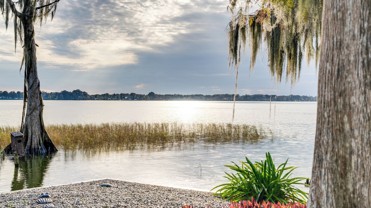 Photo of Others in Winter Haven