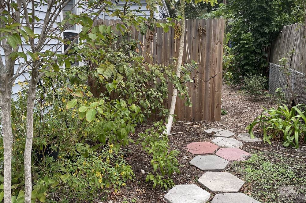 Photo of Outdoor in North Kenwood