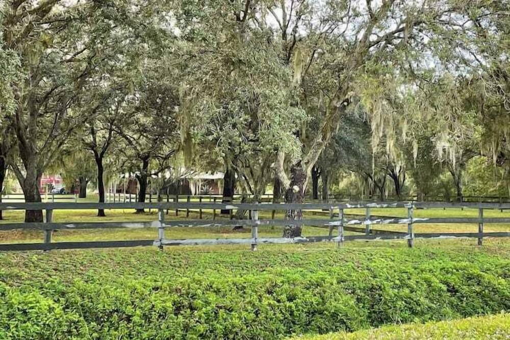 Photo of Others in Palm City