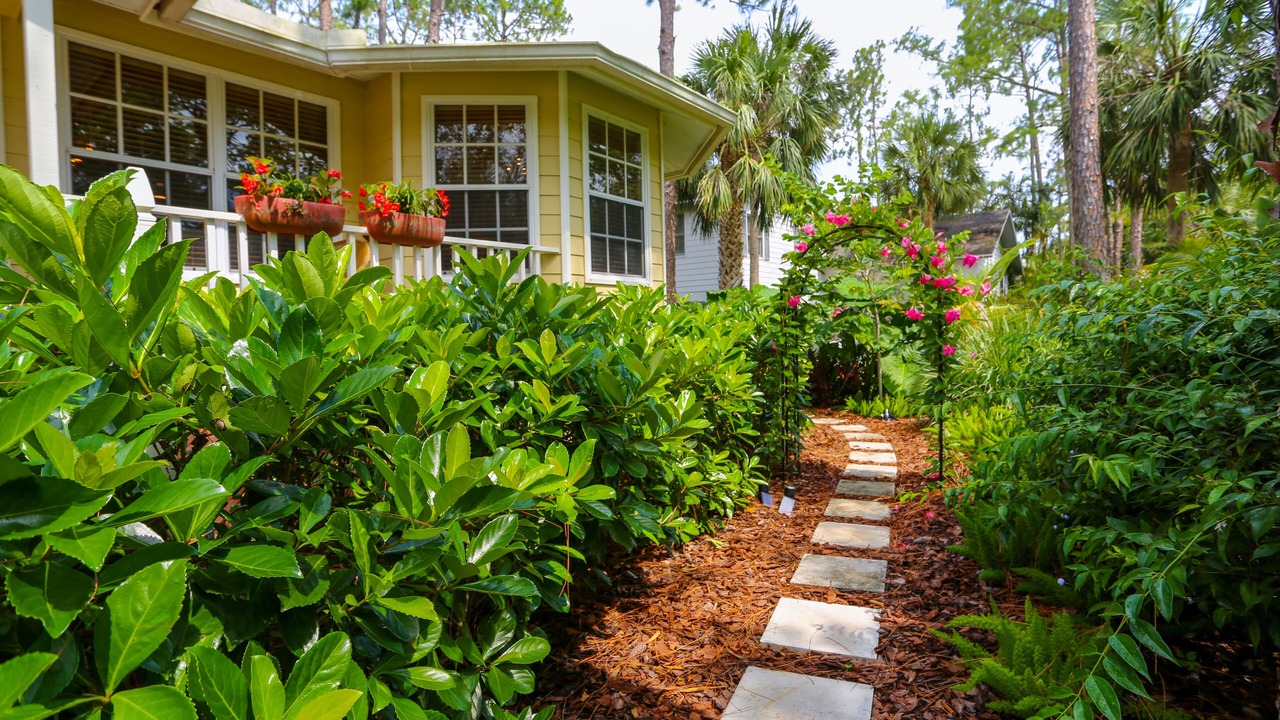 Photo of Outdoor in Palm River Estates