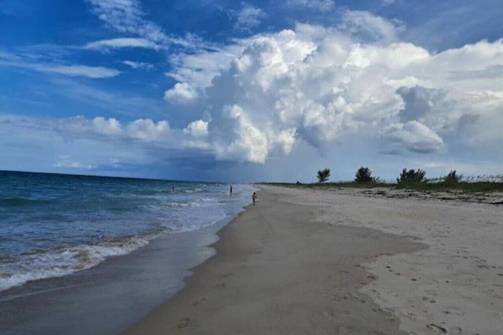 Photo of Others in Indian River Estates