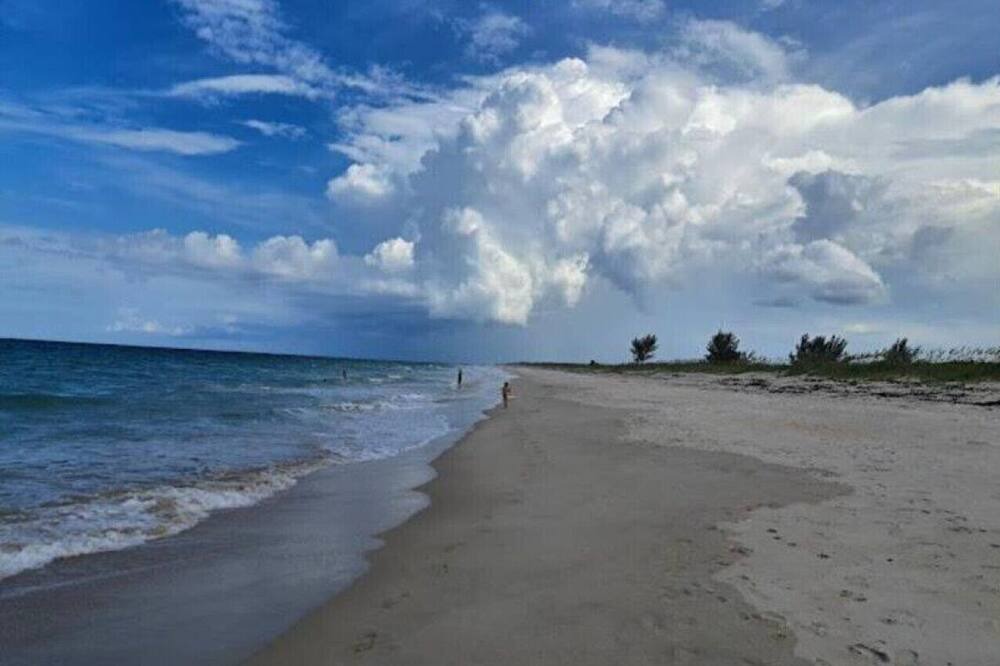 Photo of Others in Indian River Estates