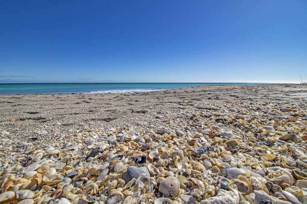 Photo of Others in Hobe Sound