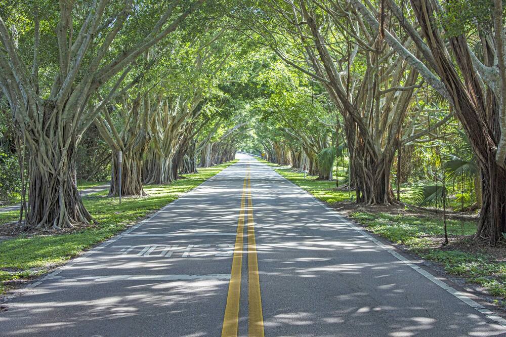 Photo of Others in Hobe Sound