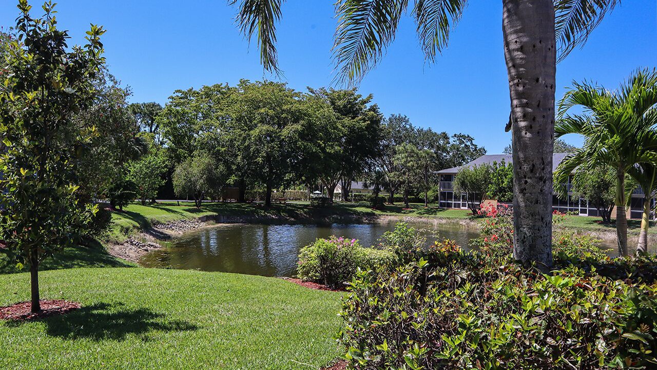 Photo of Outdoor in Imperial Golf Estates