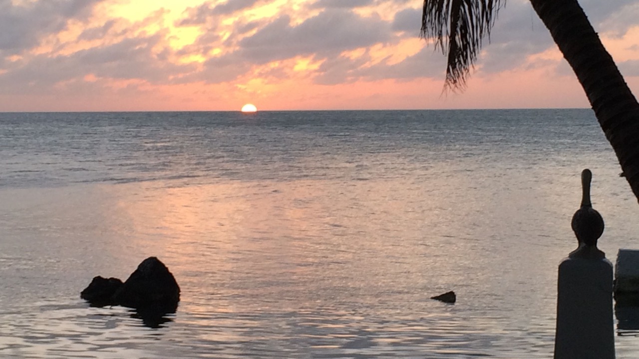 Photo of Outdoor in Long Key