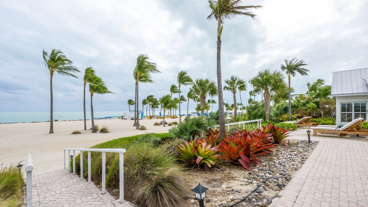 Photo of Others in Islamorada