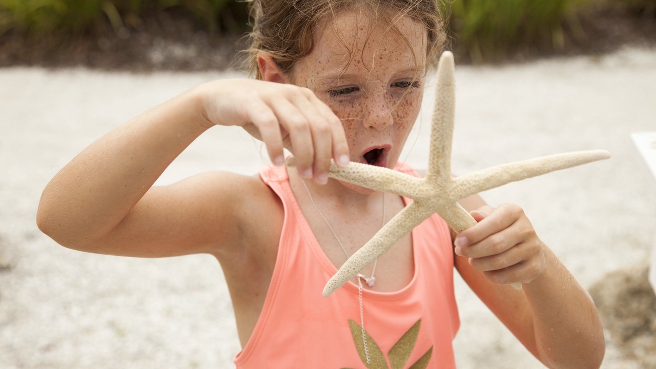 Photo of Others in Sanibel