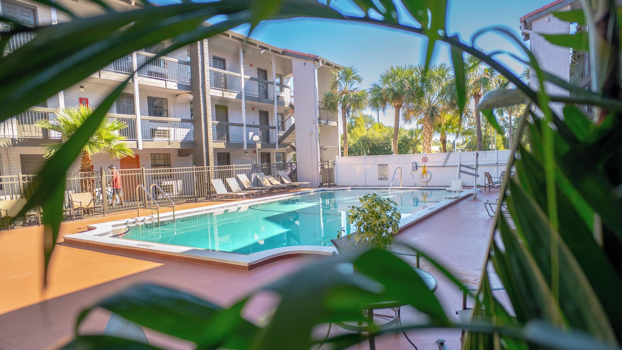 Photo of Outdoor in Tampa