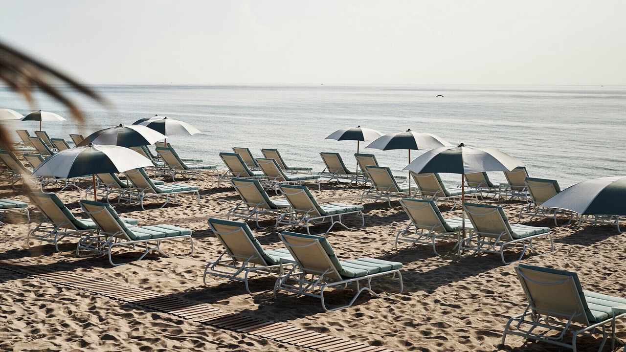 Photo of Others in Palm Beach