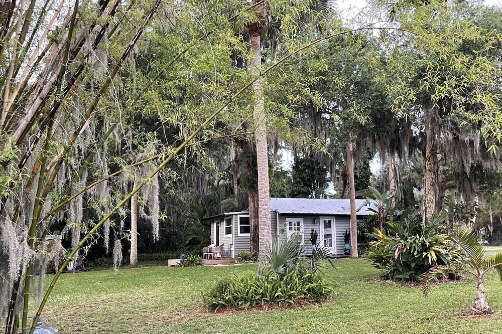 Photo of Outdoor in Tropic