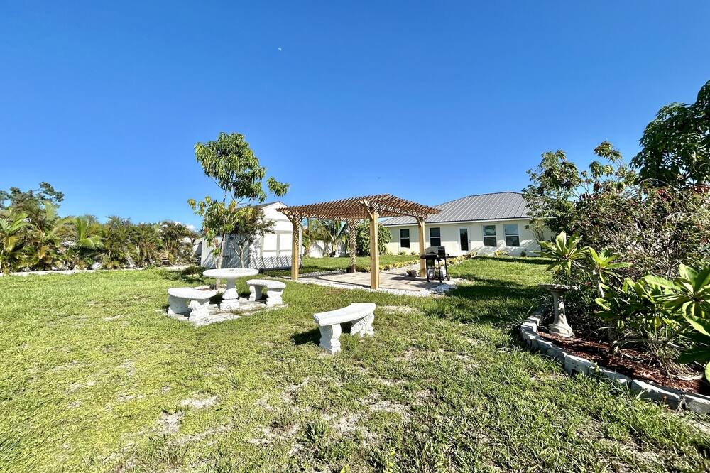 Photo of Outdoor in Jacarandas