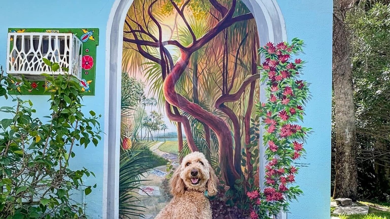 Photo of Bathroom in Sebastian