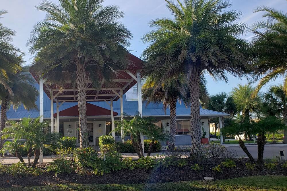 Photo of Outdoor in June Park