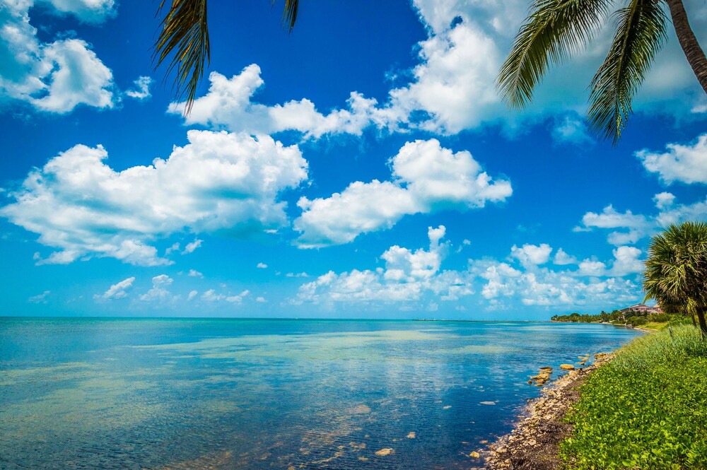 Photo of Others in Key West