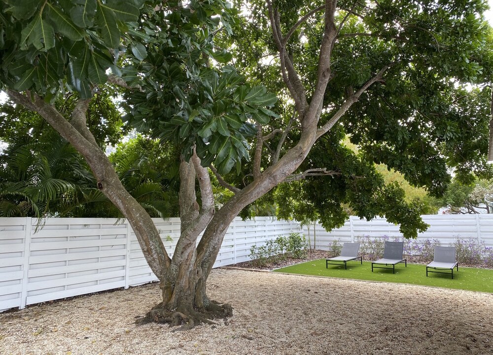 Photo of Outdoor in Sarasota