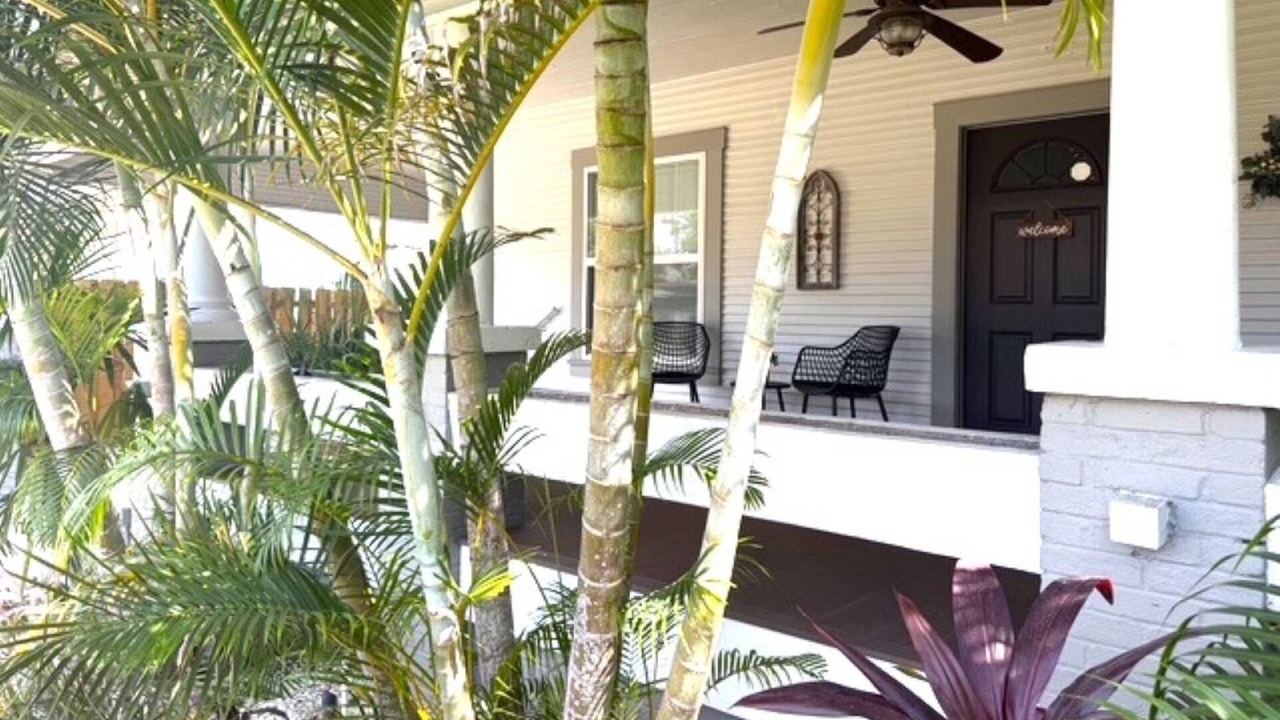 Photo of Outdoor in Palma Ceia