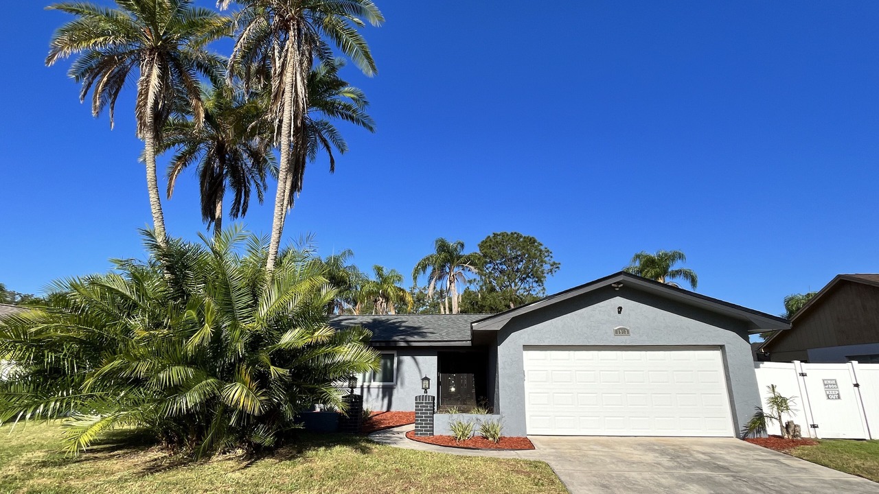 Photo of Outdoor in Clearwater