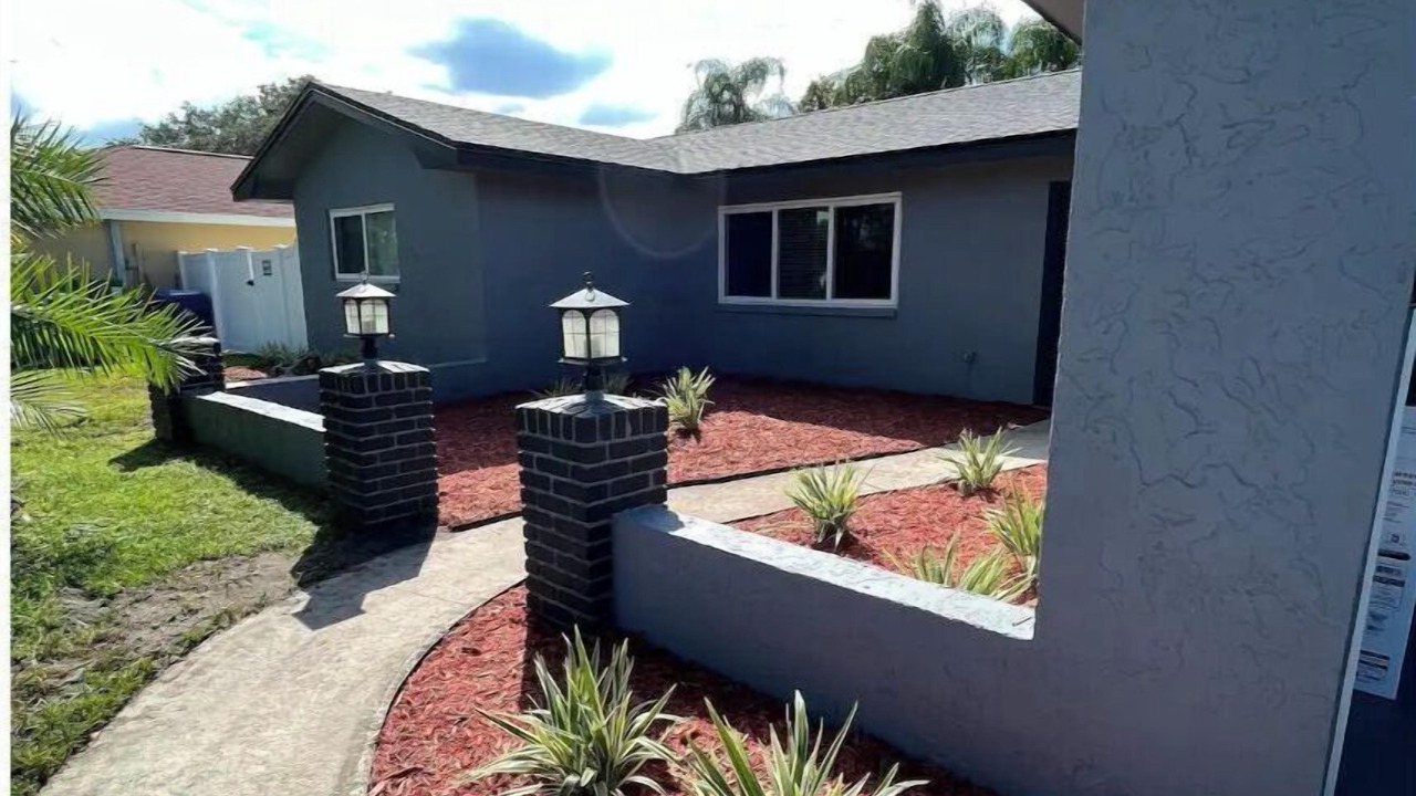 Photo of Outdoor in Clearwater