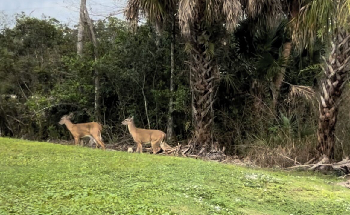 Photo of Others in Rural Estates