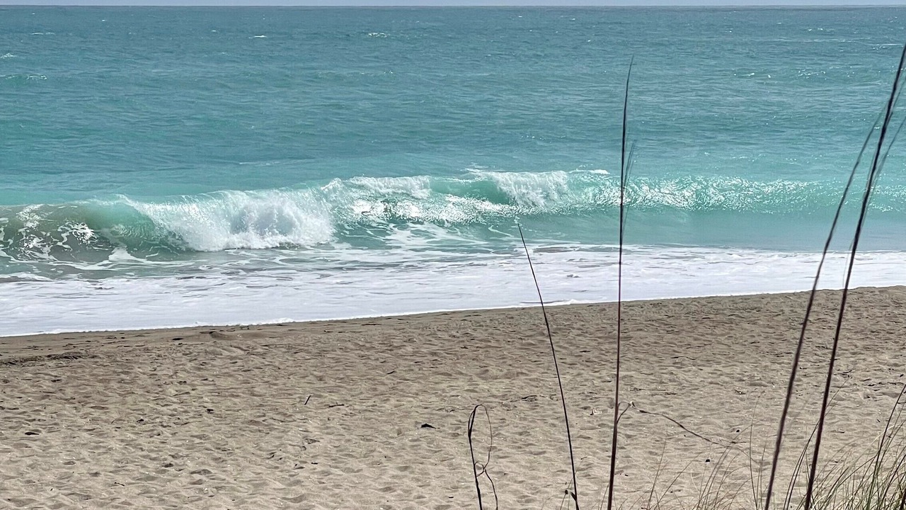 Photo of Others in Fort Pierce