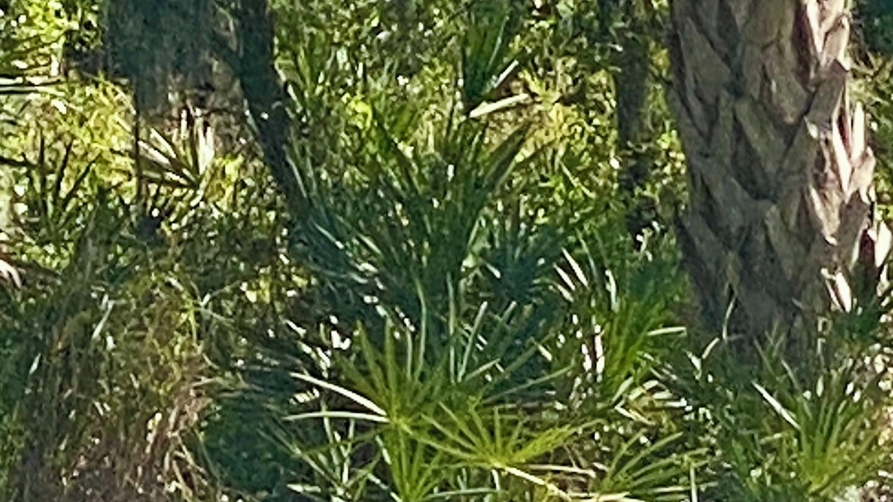 Photo of Others in Boyette